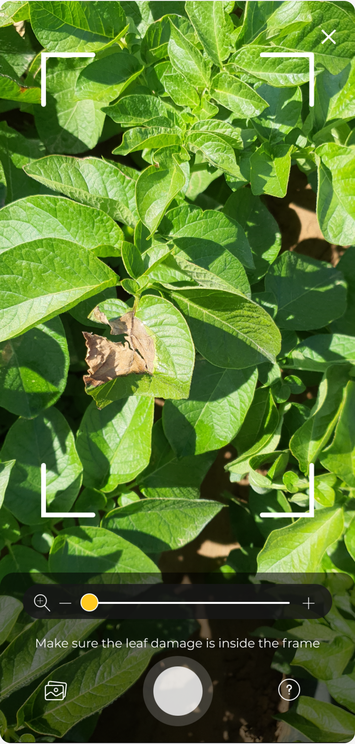 Camera with hyperzoom